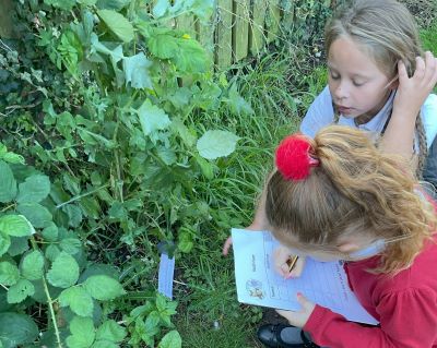 Discovering fossils