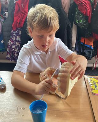 Learning to clean teeth