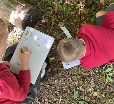 Discovering fossils