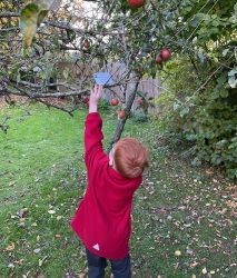 Child searching for clues