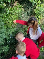 Child searching for clues