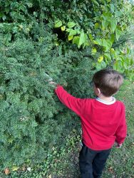 Child searching for clues