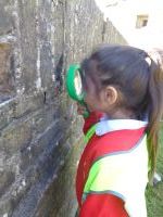 Child looking for bugs