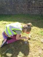 Child looking for bugs