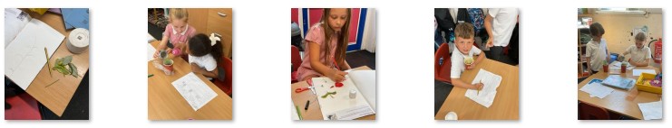 Children investigating plants