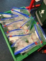 Mummification of a tomato