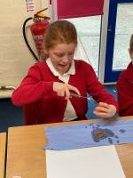 Mummification of a tomato