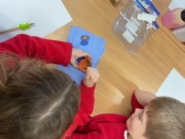 Mummification of a tomato