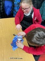 Mummification of a tomato