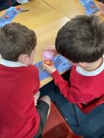 Mummification of a tomato