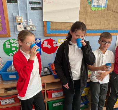 Tasting smoothies