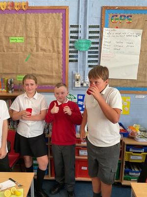 Tasting smoothies