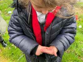 Child exploring spring topics