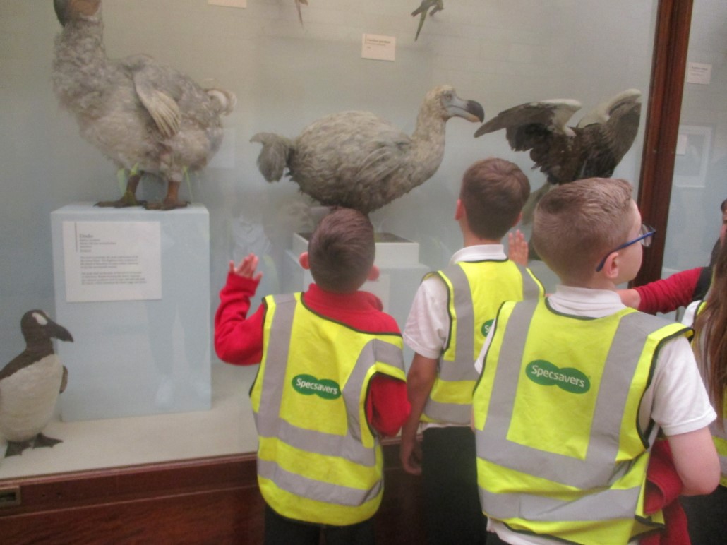 Natural History Museum