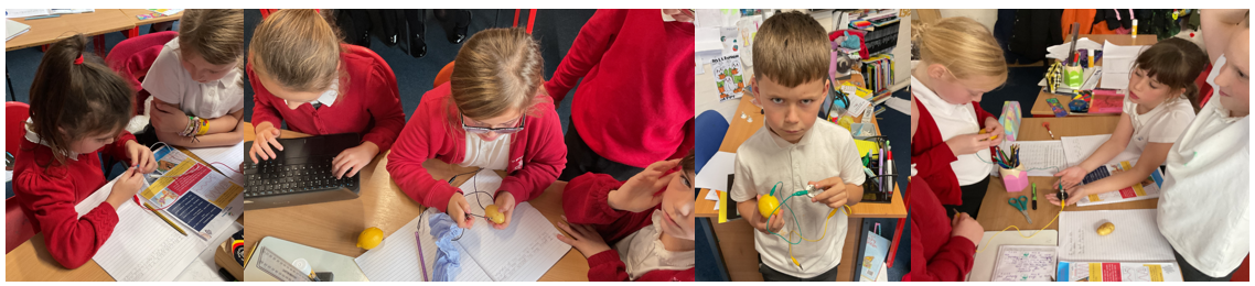 Pupils creating power with potatoes and lemons 