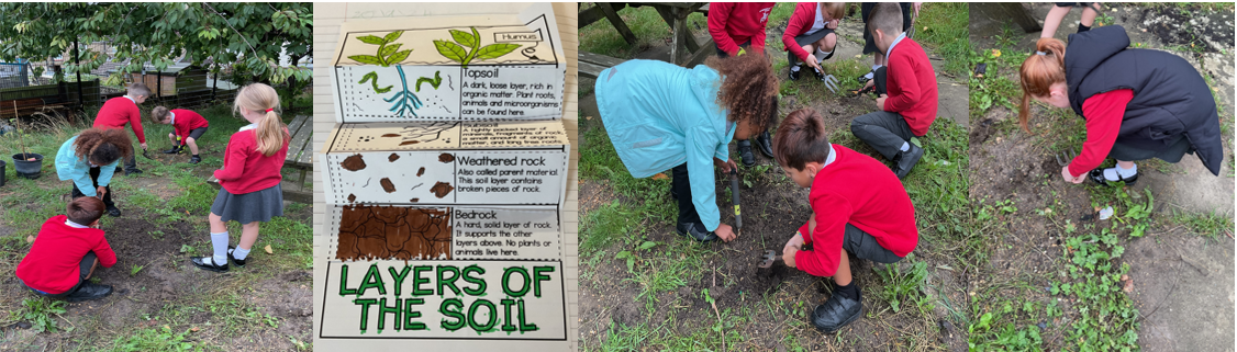 Pupils exploring and looking at layers of soil