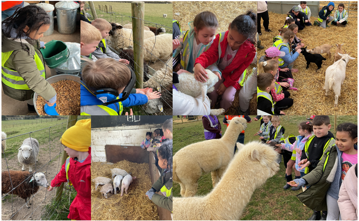 Pupils at Frampton Farm