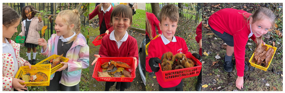 Pupils picking leaves and nature