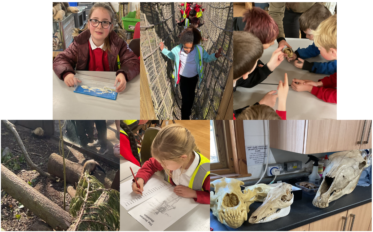 Pupils on their visit to wildwood