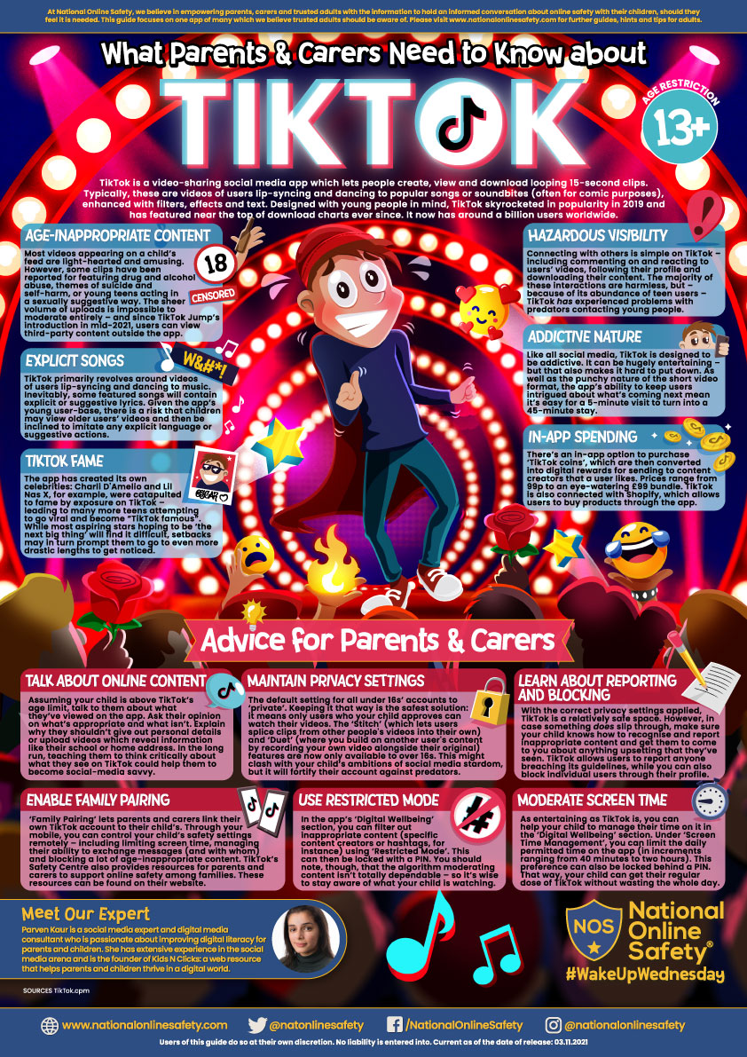 Tik Tok ​​Guide link image
