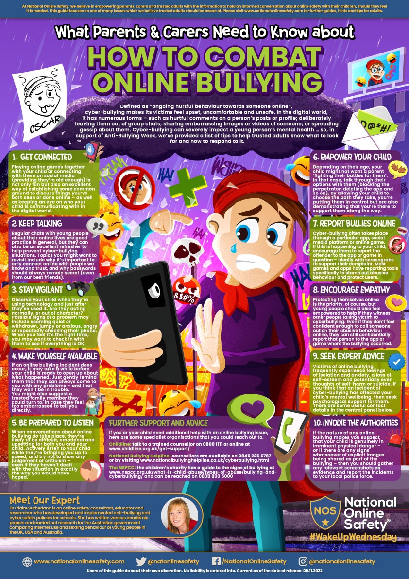 Online Bullying poster