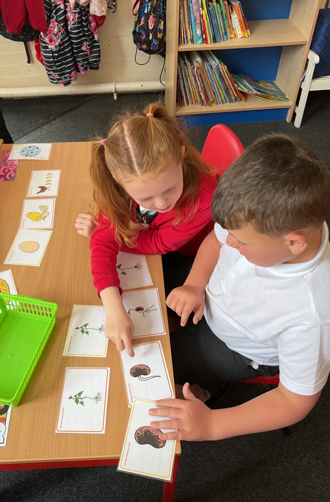children with pictures of bugs at a desk
