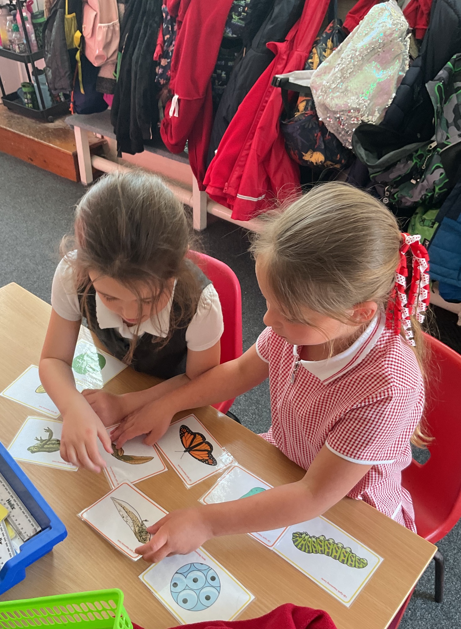 children with pictures of bugs at a desk